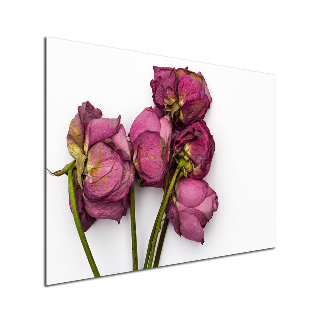 Ready2HangArt Indoor/Outdoor Wall Décor 'Thinking of You III' in ArtPlexi by NXN Designs