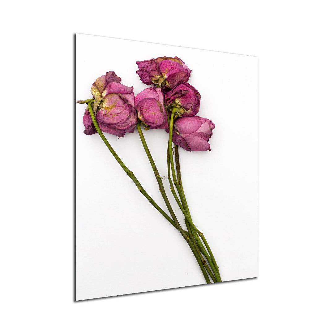 Ready2HangArt Indoor/Outdoor Wall Décor 'Thinking of You IV' in ArtPlexi by NXN Designs