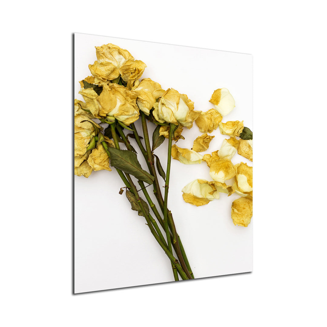 Ready2HangArt Indoor/Outdoor Wall Décor 'She Loves Me' in ArtPlexi by NXN Designs
