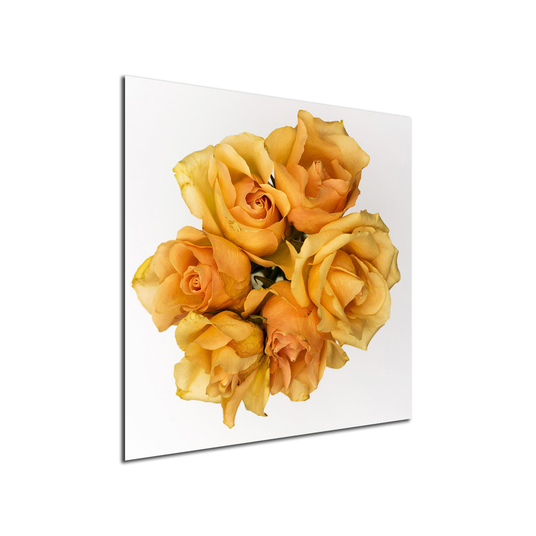 Ready2HangArt Indoor/Outdoor Wall Décor 'Just Because' in ArtPlexi by NXN Designs