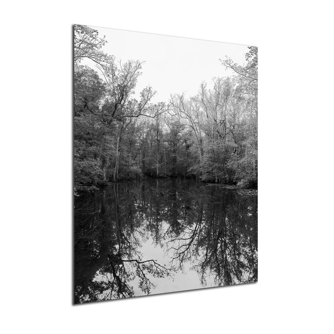Ready2HangArt Indoor/Outdoor Wall Décor 'She Loves Me' in ArtPlexi by NXN Designs