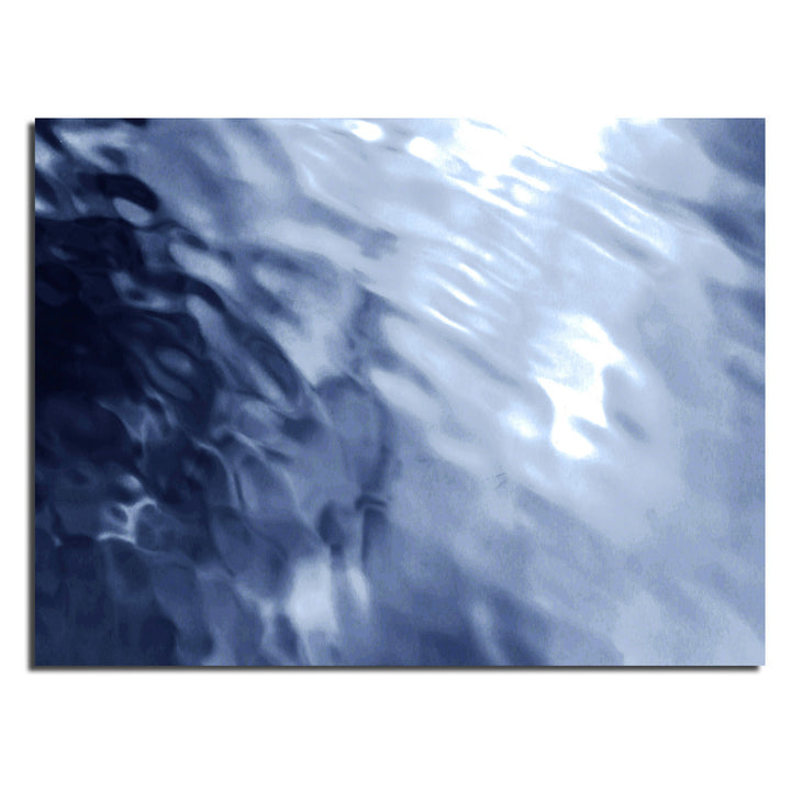Ready2HangArt Indoor/Outdoor Wall Décor 'Blue Tranquility VI' in ArtPlexi by NXN Designs