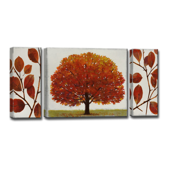 'November Splendor' 3 Piece Wrapped Canvas Wall Art Set