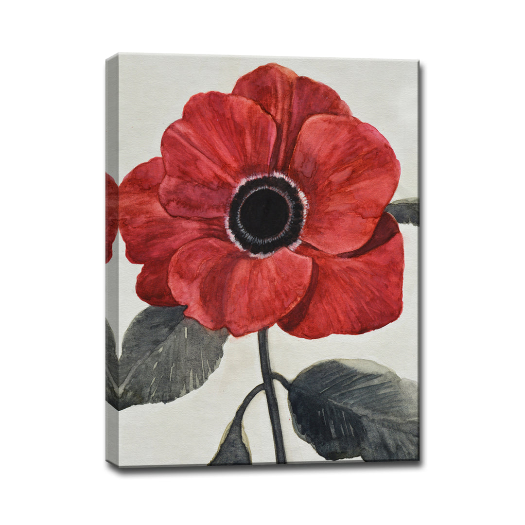 'Graceful Poppy I' Wrapped Canvas Wall Art