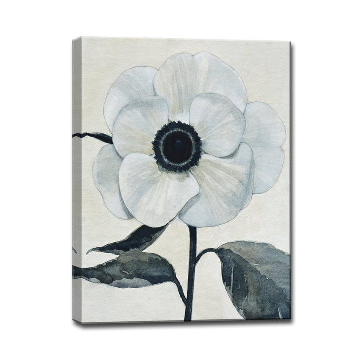 'Graceful Poppy II' Wrapped Canvas Wall Art