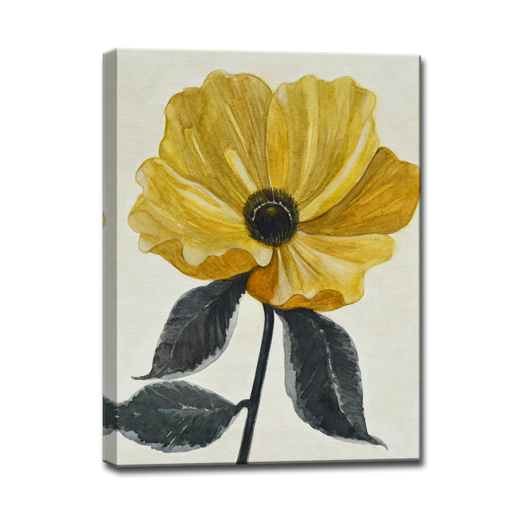 'Graceful Poppy IV' Wrapped Canvas Wall Art