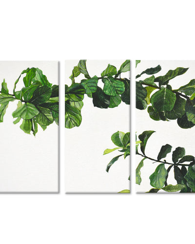 Chlorophyll' Wrapped Canvas Wall Art Set