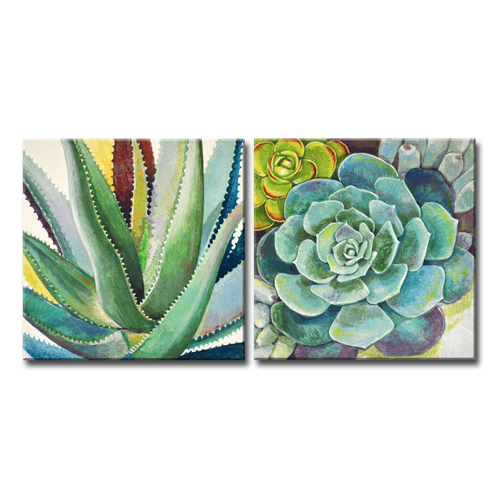 Brilliant Succulents I/II' Wrapped Canvas Wall Art Set