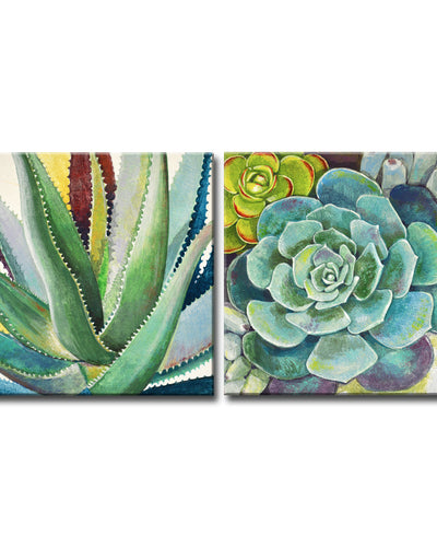 Brilliant Succulents I/II' Wrapped Canvas Wall Art Set
