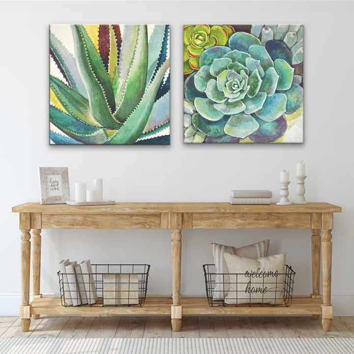 Brilliant Succulents I/II' Wrapped Canvas Wall Art Set