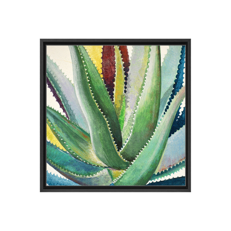 Brilliant Succulents I Framed Canvas Wall Art