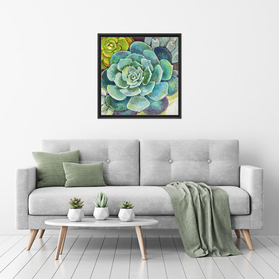 Brilliant Succulents II Framed Canvas Wall Art