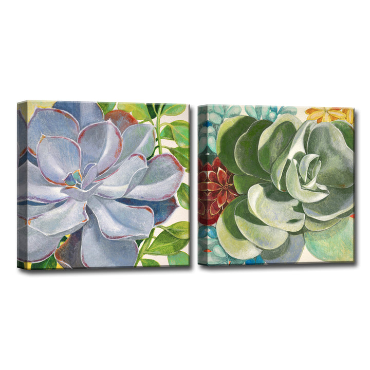 Brilliant Succulents III/IV' Wrapped Canvas Wall Art Set