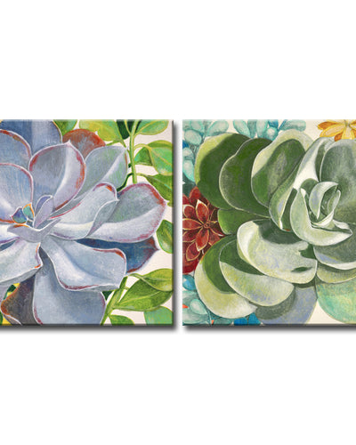 Brilliant Succulents No. 3/4' Wrapped Canvas Wall Art Set