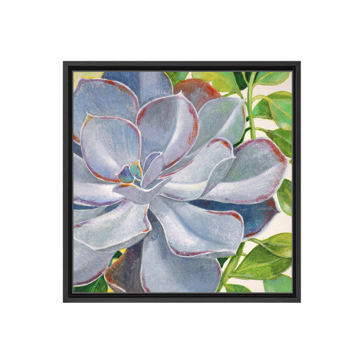 Brilliant Succulents III Framed Canvas Wall Art