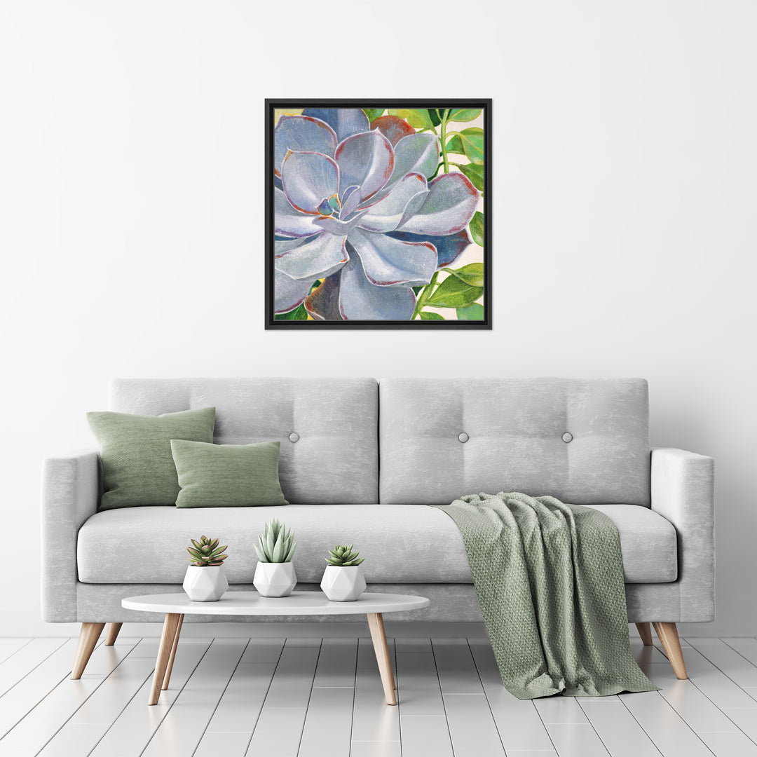Brilliant Succulents III Framed Canvas Wall Art