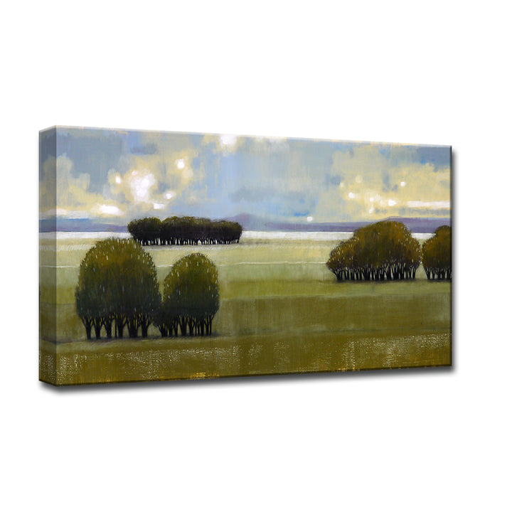 'Nice Green I' Wrapped Canvas Wall Art