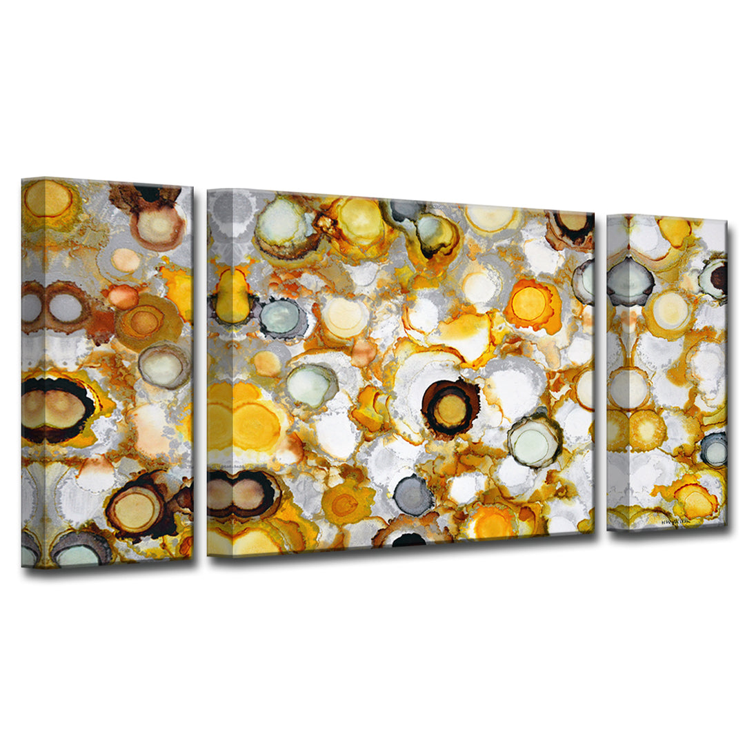 'Sundrops' 3-Piece Wrapped Canvas Wall Art Set