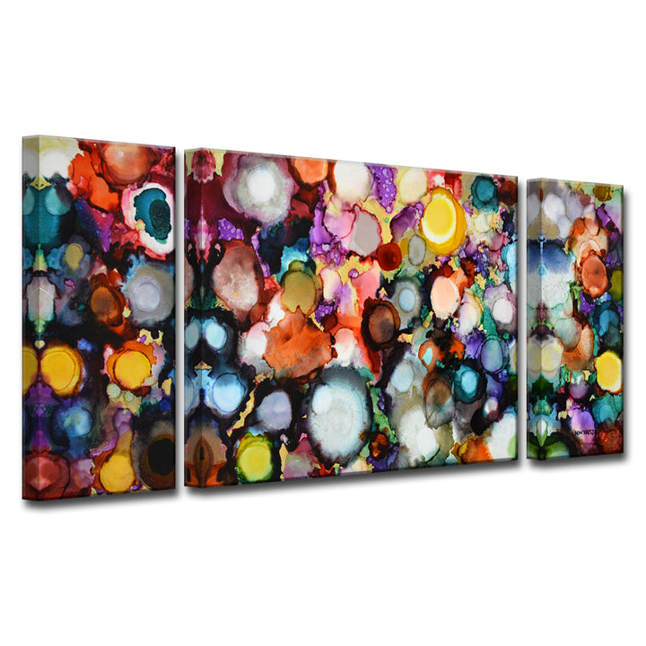 'Festive Jewels' 3 Piece Wrapped Canvas Wall Art Set