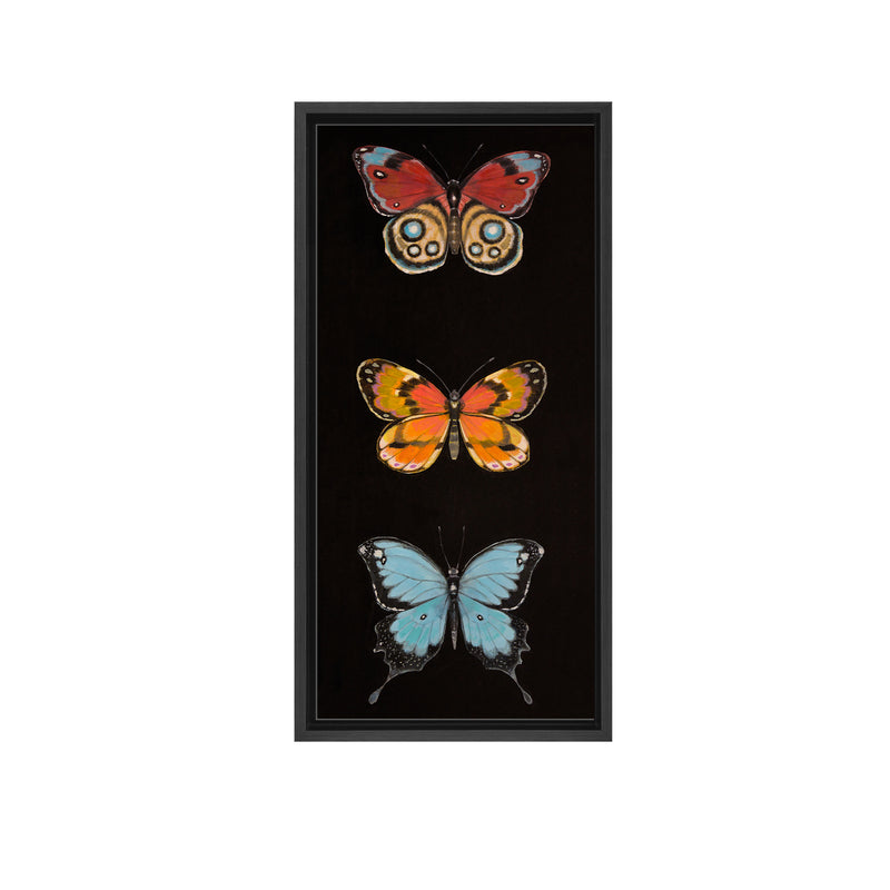 Butterfly Trio II Framed Canvas Wall Art