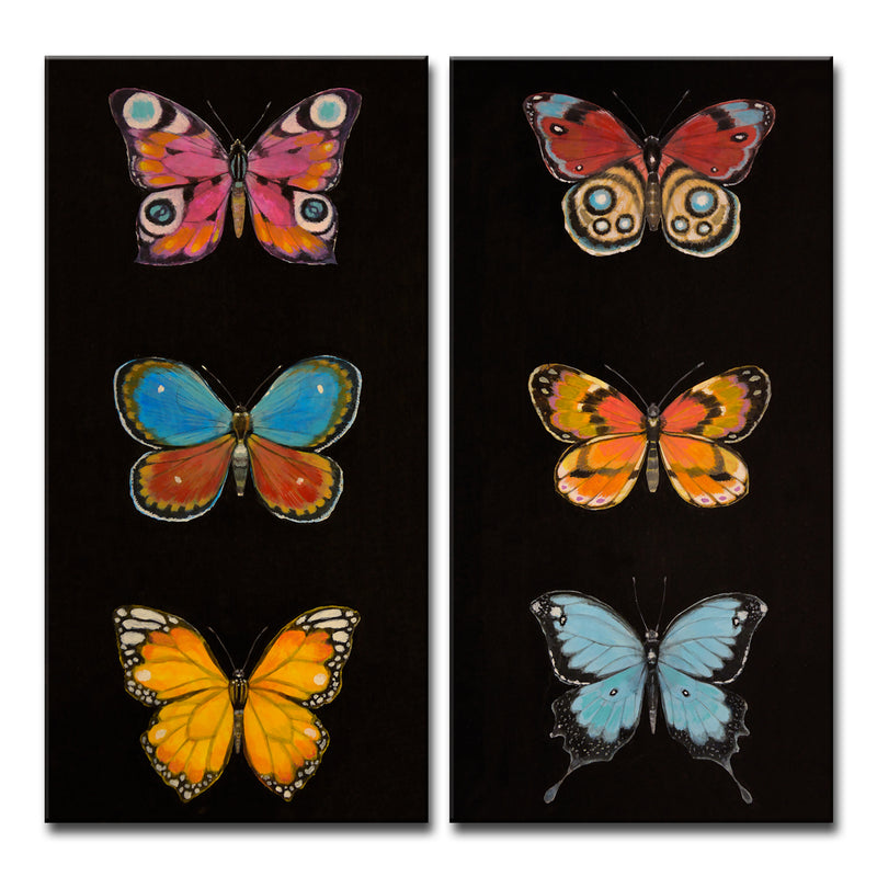 'Butterfly Trio I/II' 2 Piece Wrapped Canvas Wall Art Set