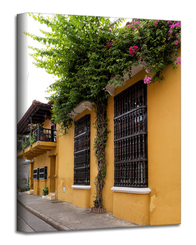 Provincial V' Wrapped Canvas Wall Art