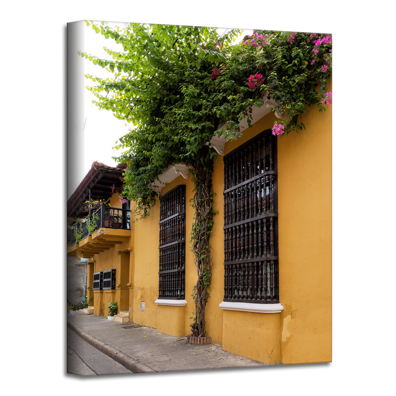 Provincial V' Wrapped Canvas Wall Art