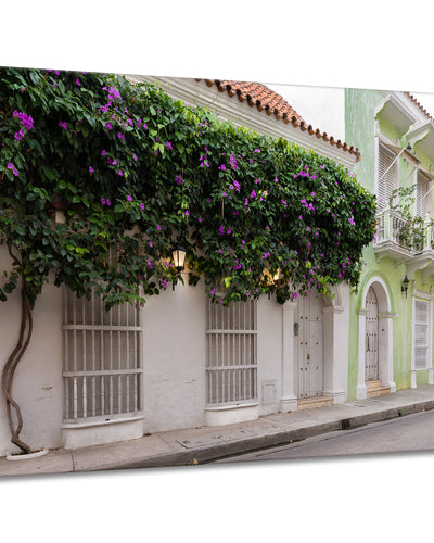 Provincial XIII' Wrapped Canvas Wall Art