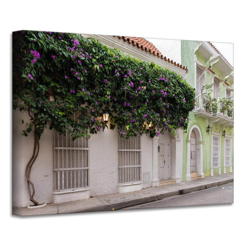 Provincial XIII' Wrapped Canvas Wall Art