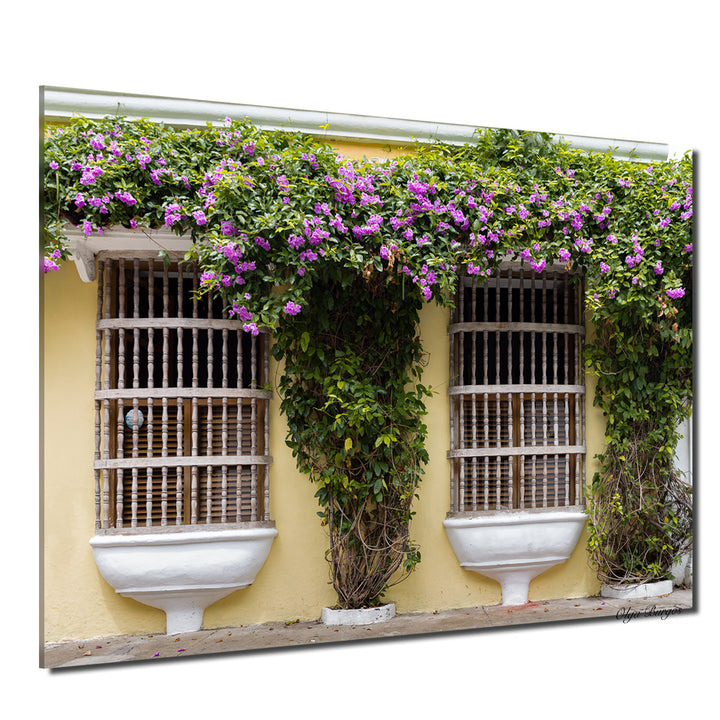 Indoor/Outdoor Wall Décor 'Provincial II' in ArtPlexi