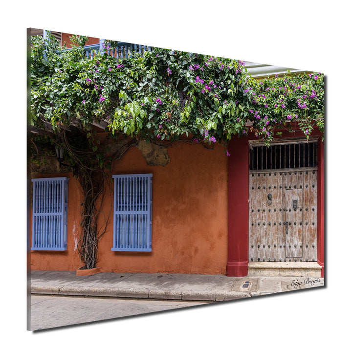 Indoor/Outdoor Wall Décor 'Provincial III' in ArtPlexi