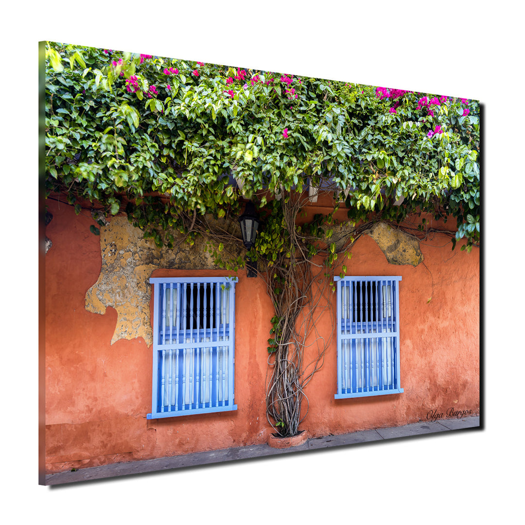 Indoor/Outdoor Wall Décor 'Provincial VI' in ArtPlexi