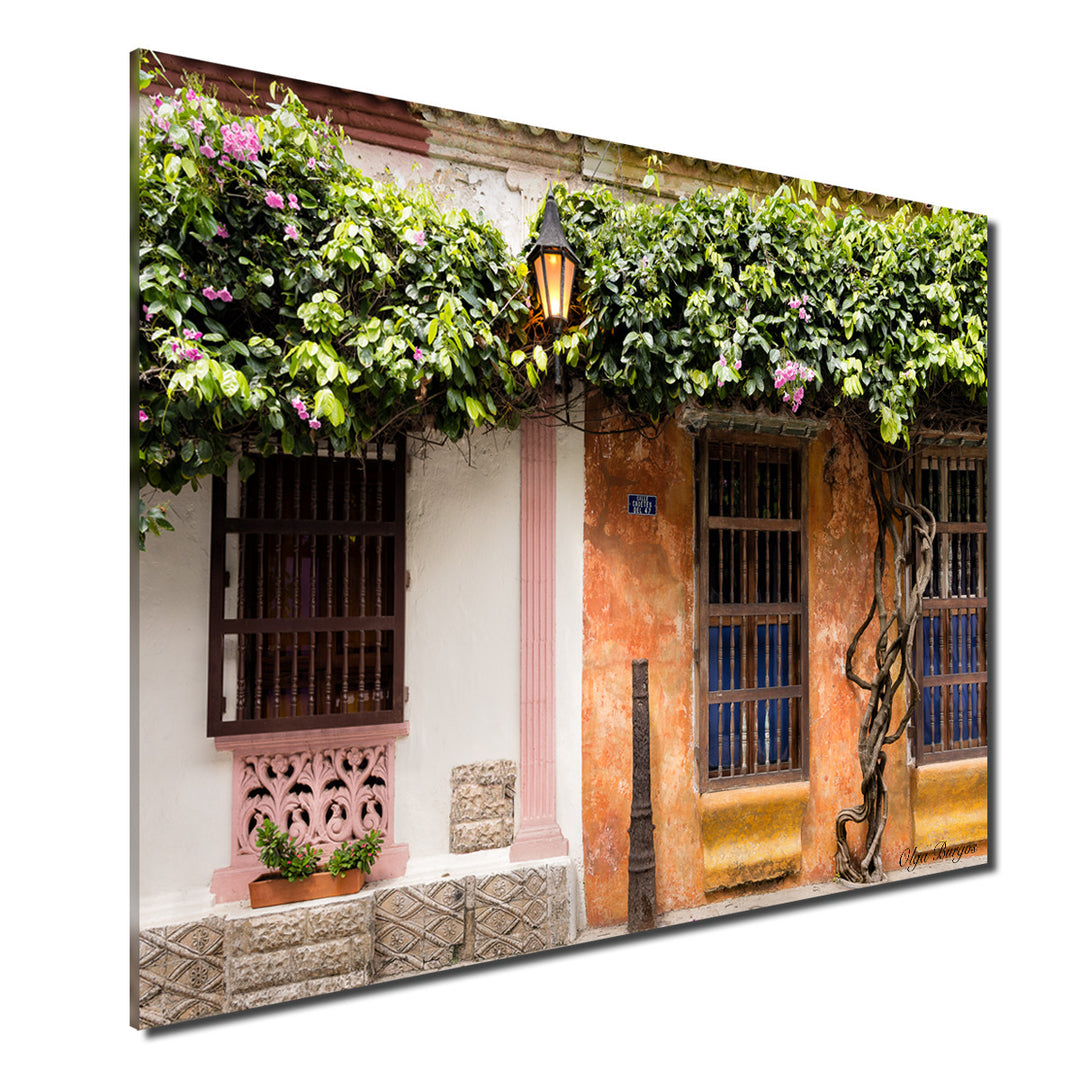 Indoor/Outdoor Wall Décor 'Provincial X' in ArtPlexi