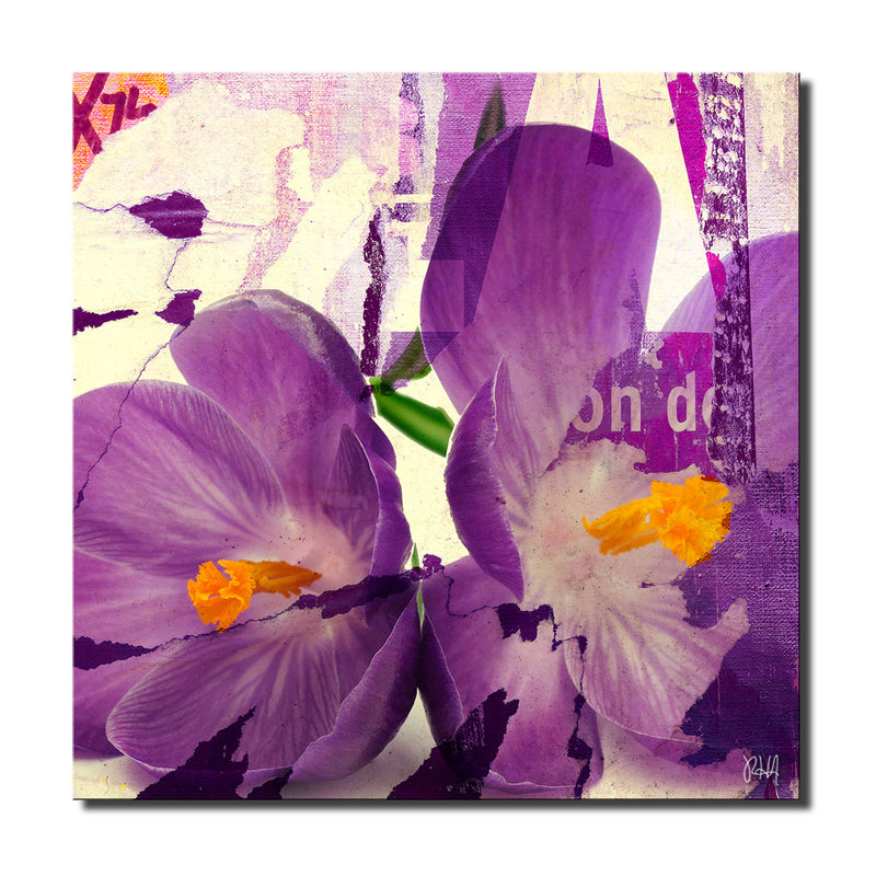 Painted Petals C' Wrapped Canvas Wall Art