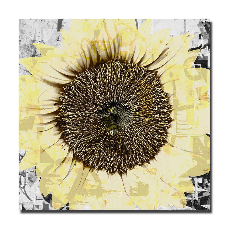 Painted Petals CIV' Wrapped Canvas Wall Art