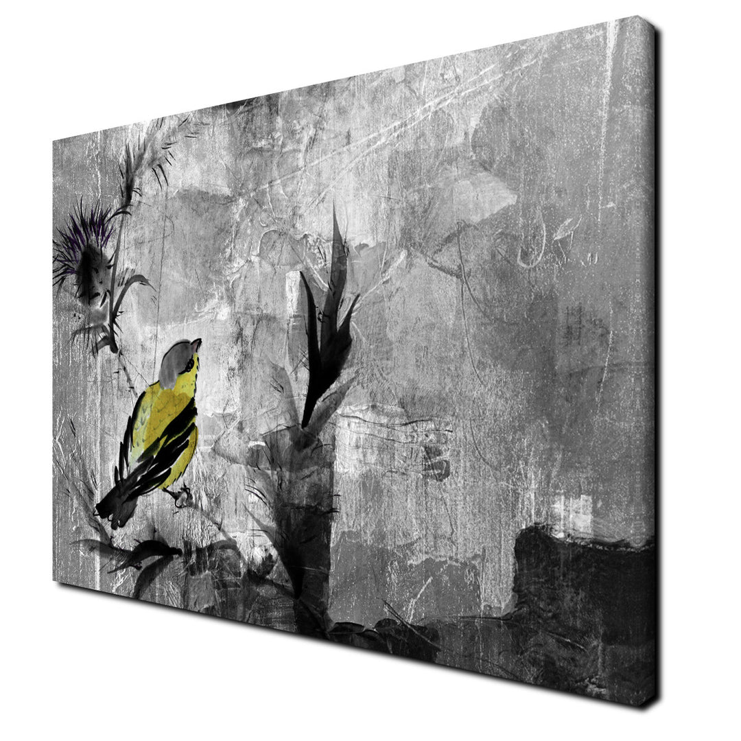 Painted Petals XVI' Wrapped Canvas Wall Art