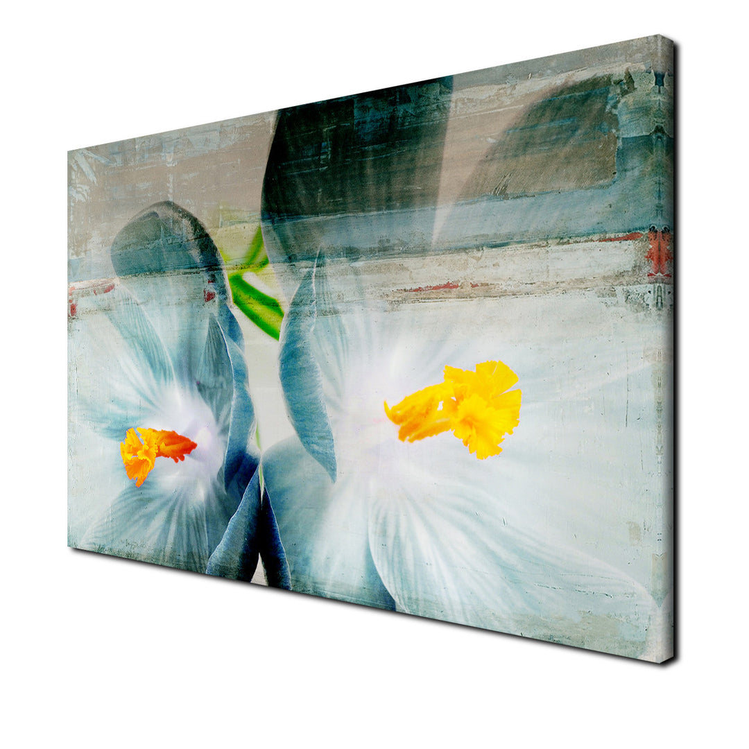 Painted Petals XX' Wrapped Canvas Wall Art