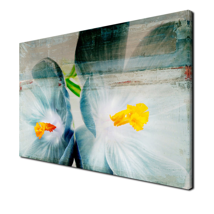 Painted Petals XX' Wrapped Canvas Wall Art