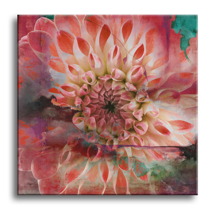 Painted Petals XXIX' Wrapped Canvas Wall Art