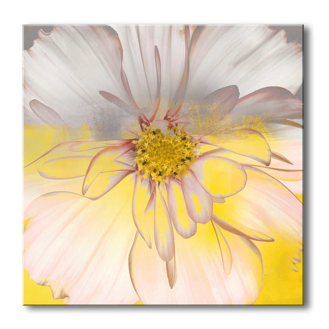 Painted Petals XXXIV' Wrapped Canvas Wall Art