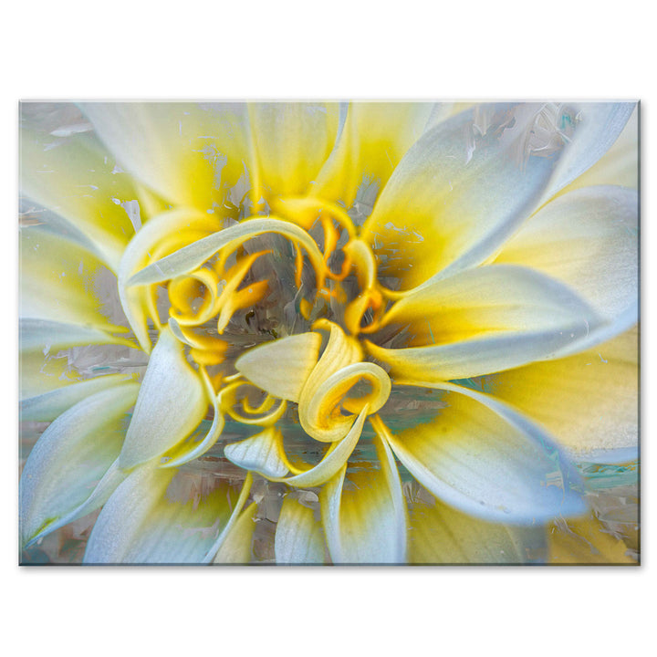 Painted Petals XXXVII' Wrapped Canvas Wall Art