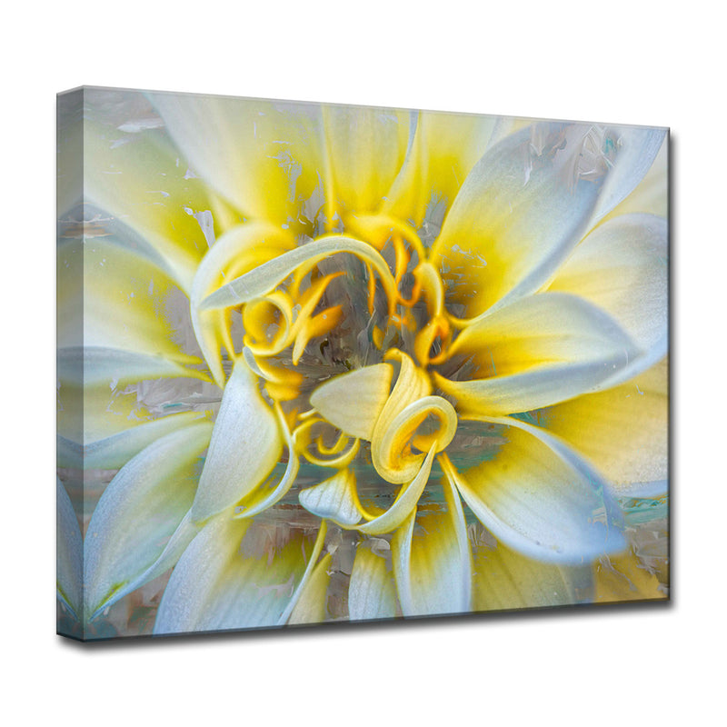 Painted Petals XXXVII' Wrapped Canvas Wall Art