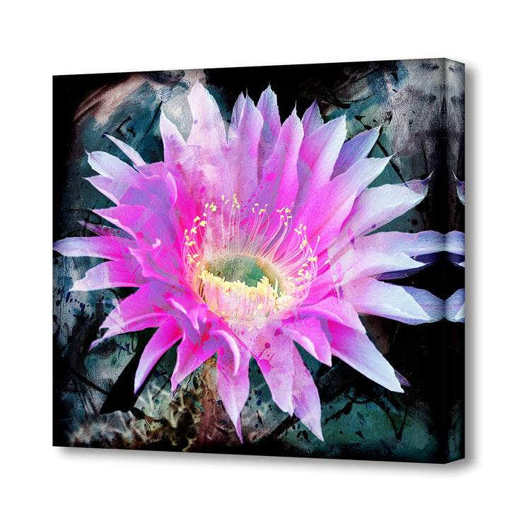 Painted Petals XLI' Canvas Wall Art