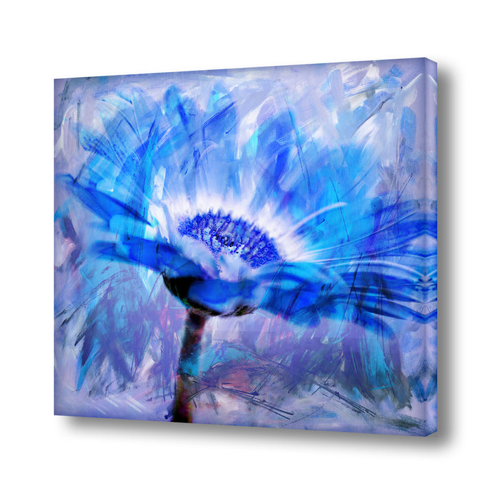 Painted Petals XLII' Canvas Wall Art