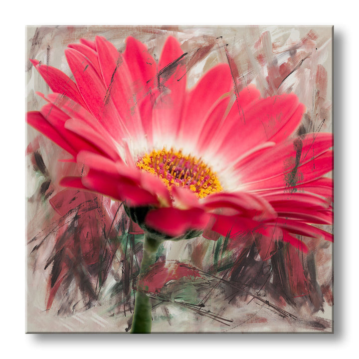 Painted Petals XLIII' Canvas Wall Art