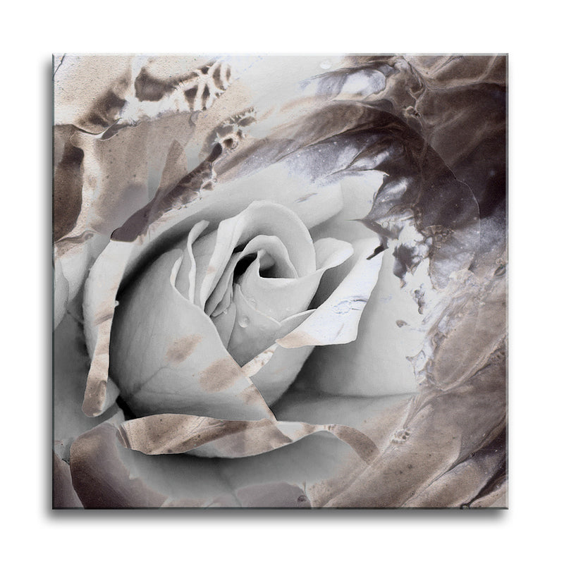 Painted Petals XLVII' Wrapped Canvas Wall Art