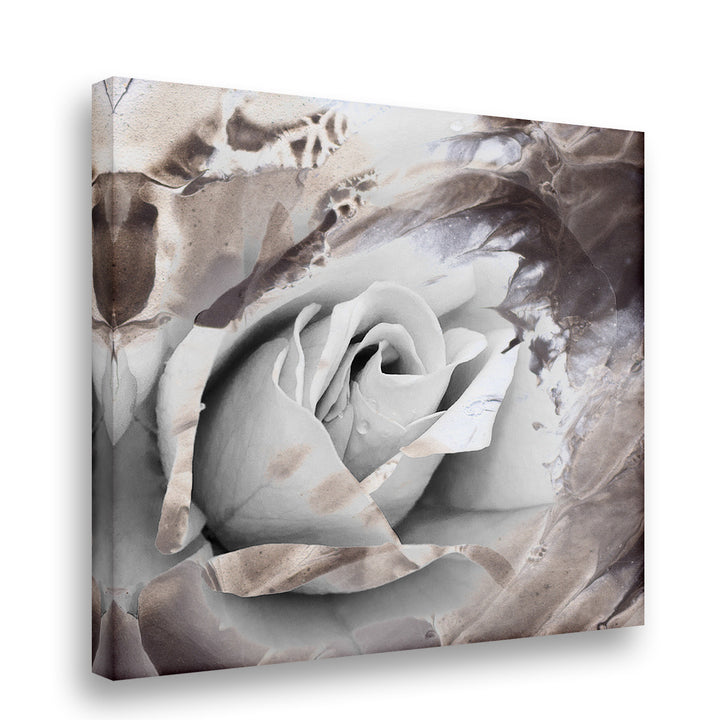 Painted Petals XLVII' Wrapped Canvas Wall Art