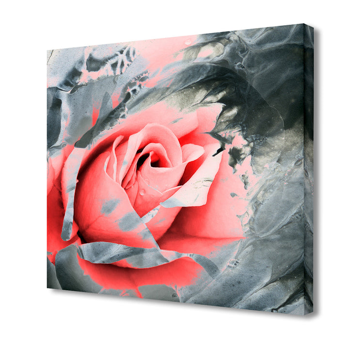 Painted Petals XLVII-B' Wrapped Canvas Wall Art