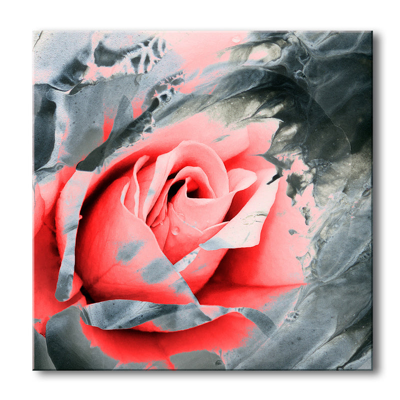 Painted Petals XLVII-B' Wrapped Canvas Wall Art