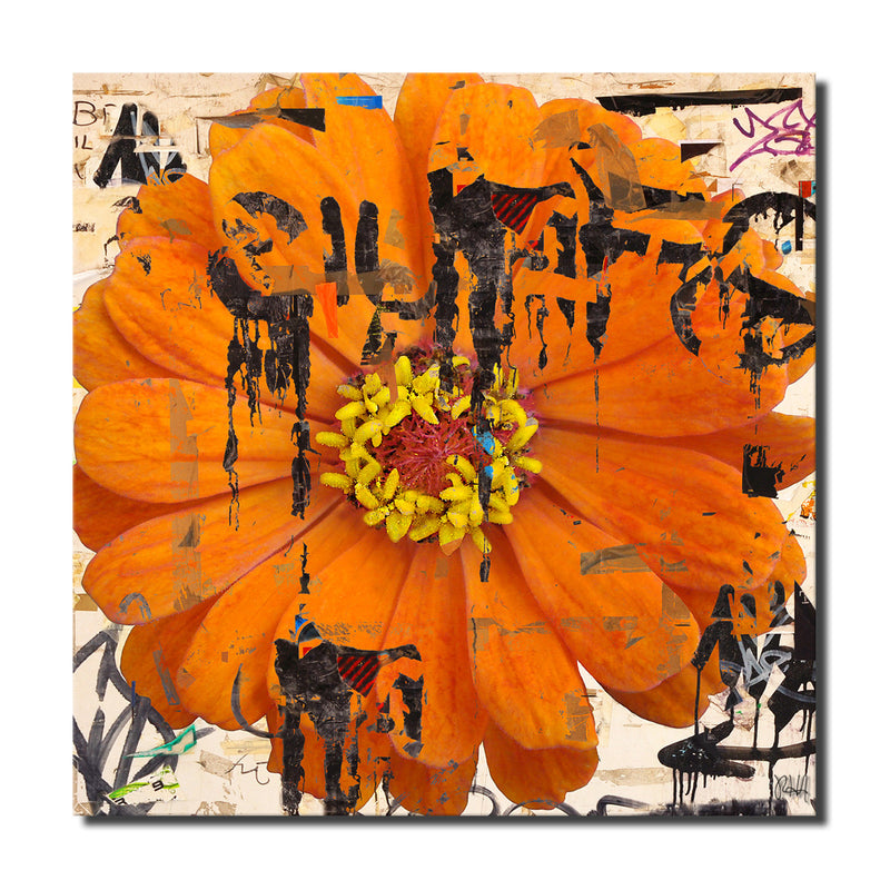 Painted Petals LXXVI' Wrapped Canvas Wall Art